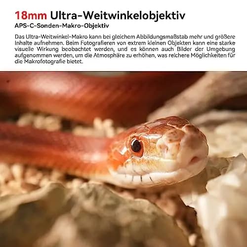 AstrHori 18 mm F8 APS-C Weitwinkel-2X-Makro-Sondenobjektiv mit integriertem Ringlicht für spiegellose Kameras der Panasonic Olympus M43-Mount-Serie gx85,G85,gx9,G95,G100,DC-BGH1,E-M10 Mark IV,E-P7