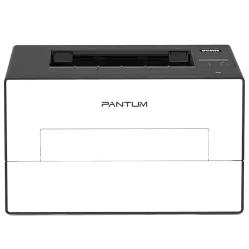 Pantum BP4209DW Laserdrucker