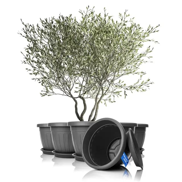 BigDean 6X Blumentopf mit Untersetzer rund ø50xH38 cm anthrazit - wetterfester Pflanzkübel - Wasserablauf UV-beständig aus bruchsicherem Kunststoff - Innen + Außen geeignet - Made in Europe