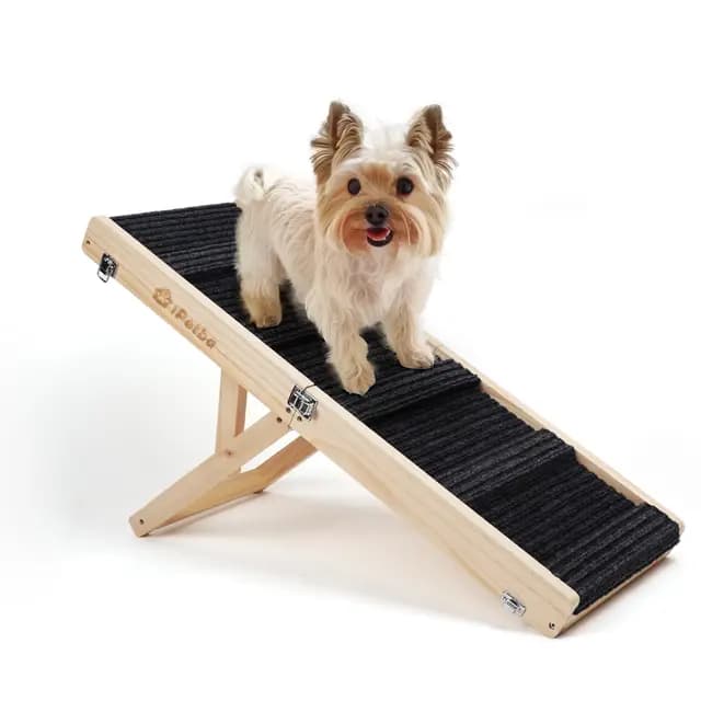 Hunderampe für Sofa und niedrige Möbel, Rampe für kleine Hunde bis 16 kg, höhenverstellbar, klappbar, rutschfeste Oberfläche