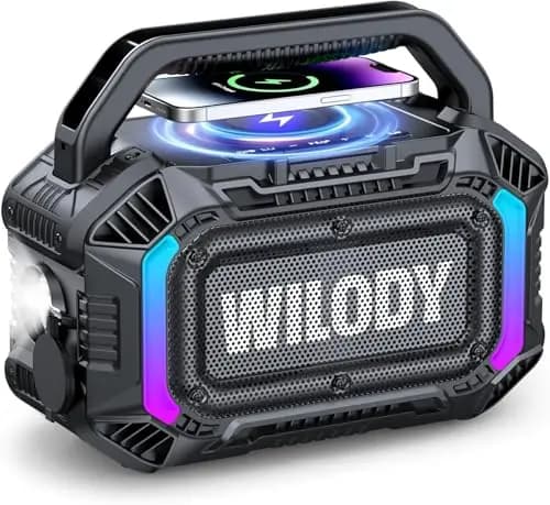 Wilody 100W Bluetooth-Lautsprecher