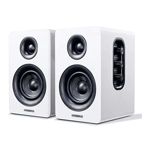 Sanyun SW208 Bluetooth Regallautsprecher