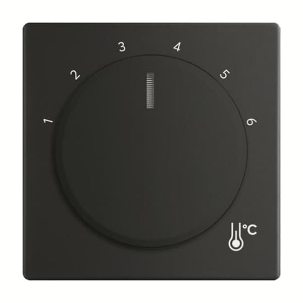 Zentralscheibe Temperatur rund 1794 R-885, Thermostat