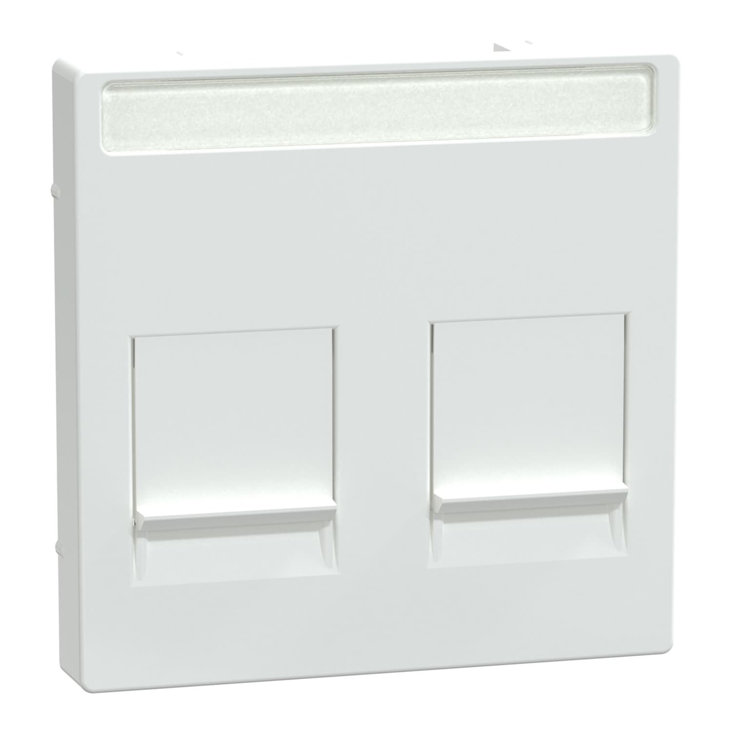 Zentralplatte zweifach mit Anschlussklemmen und Beschriftungsfeld für Modular Jack