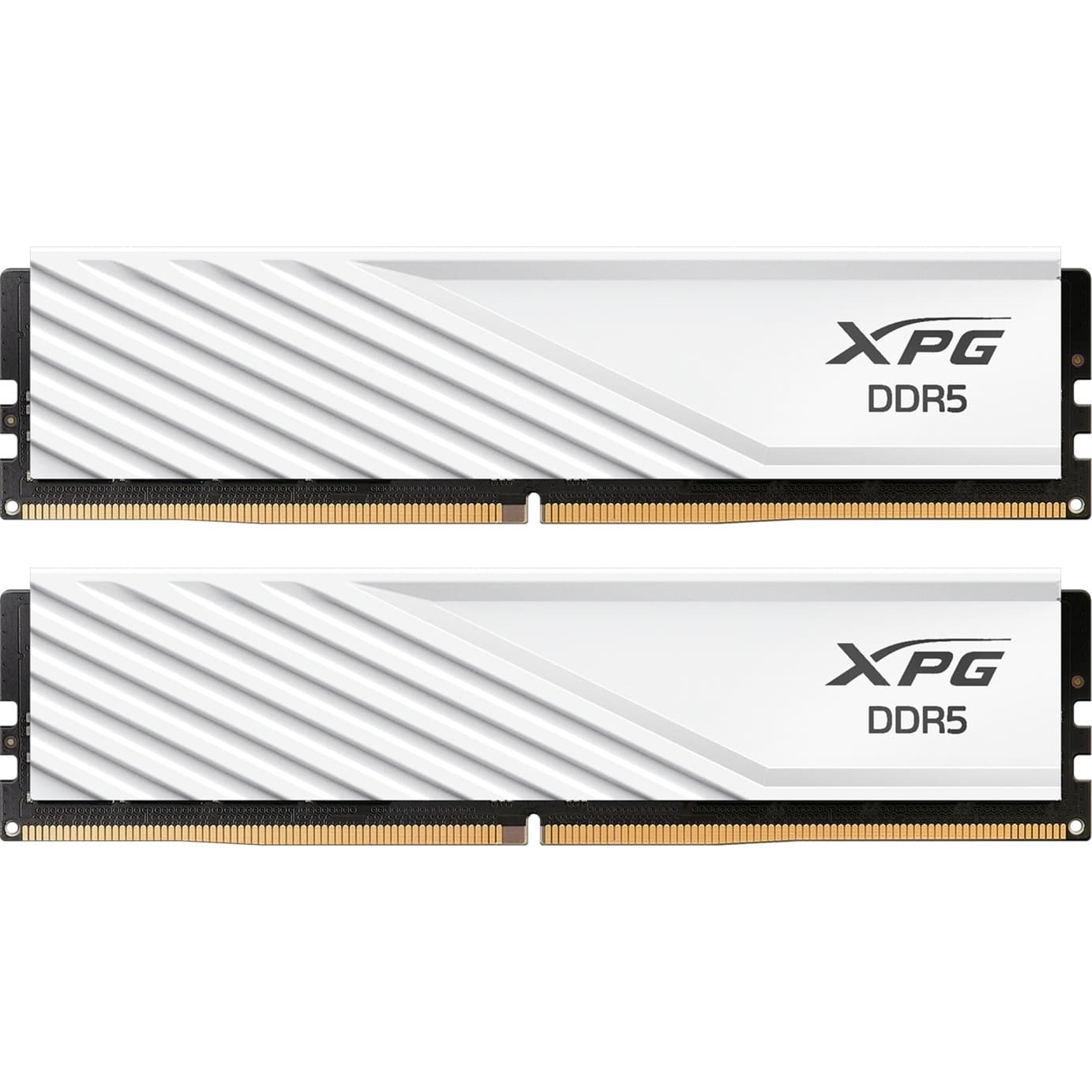 DIMM 16 GB DDR5-5600 (2x 8 GB) Dual-Kit, Arbeitsspeicher