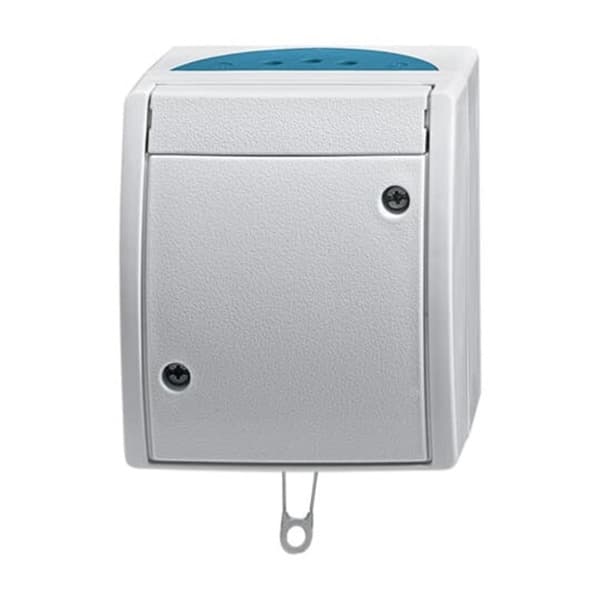 Zugwechselschalter 2610/6 W-53 Aufputz mit Zugschnur Bedienung