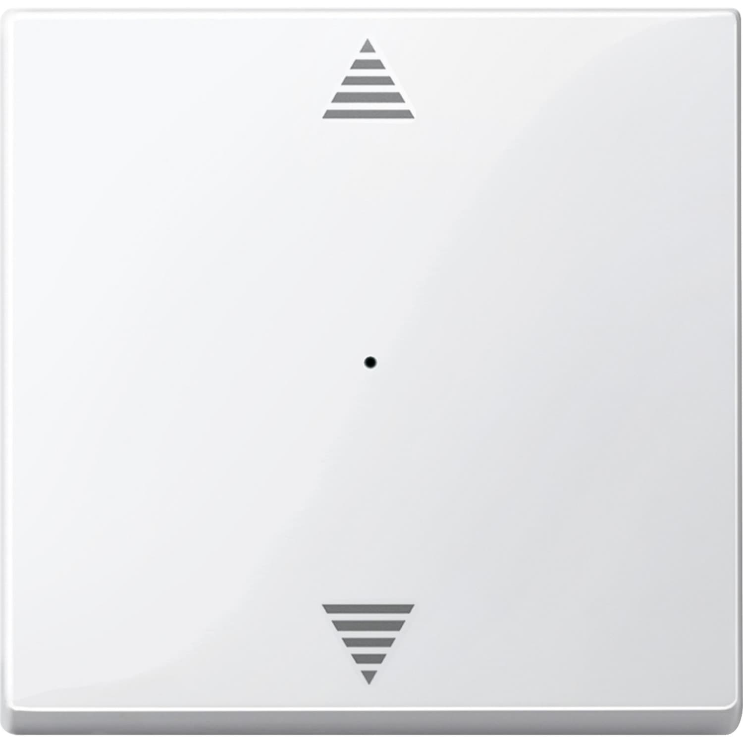 Wippe für Tastermodul einfach, glänzend, Thermoplast, System M, Typ 619419