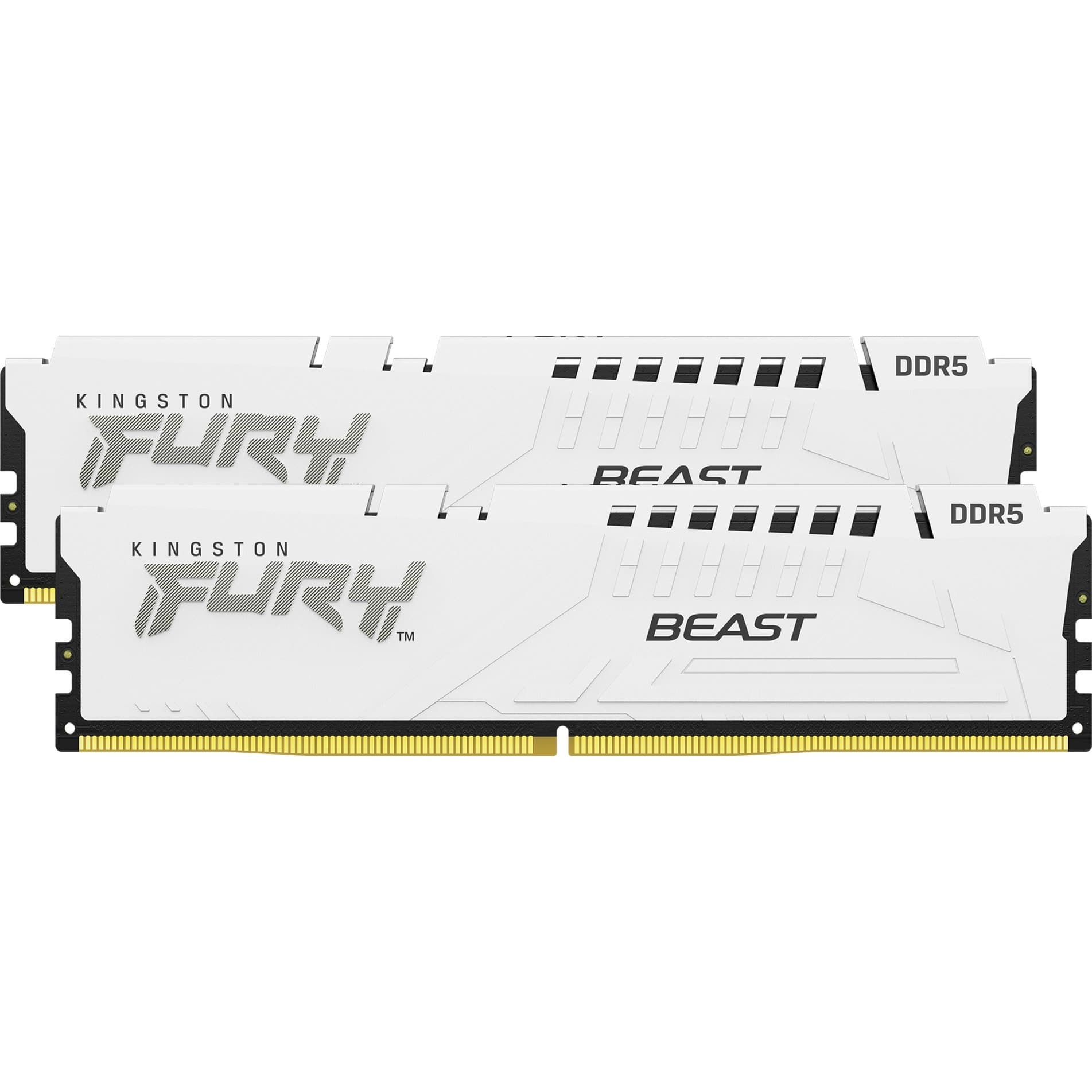 DIMM 32 GB DDR5-5600 (2x 16 GB) Dual-Kit, Arbeitsspeicher