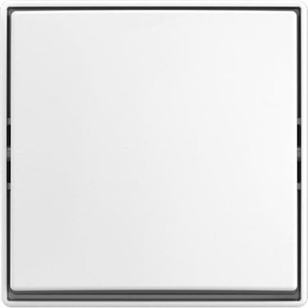 Busch-J. Wippschalter AP 2601/6 J-524
