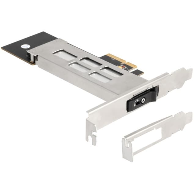 DeLock Wechselrahmen PCI Express Karte für 1 x M.2 NMVe SSD, Schnittstellenkarte