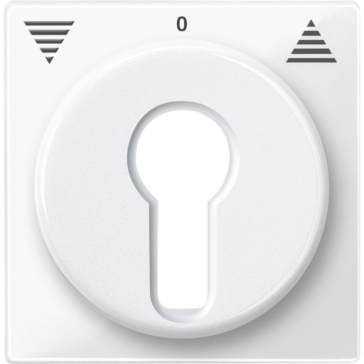 Zentralplatte für Rollladeneinsatz, Ausführung Key Switch, glänzend, Thermoplast