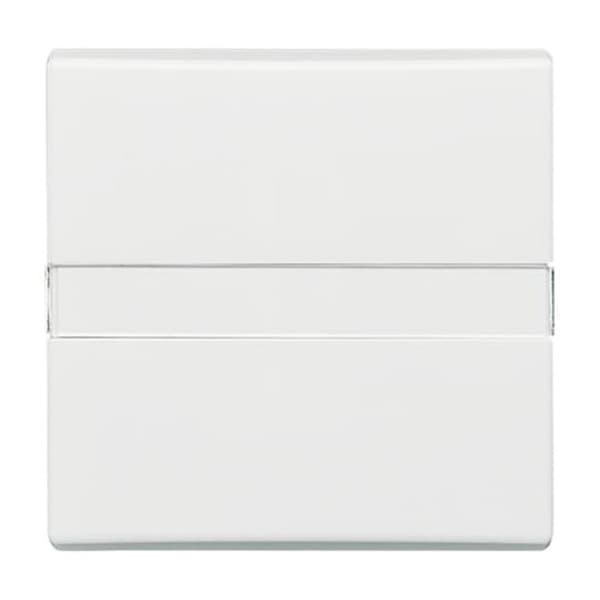 Wippe Auswechsel mit Beschriftung 2106 N-34