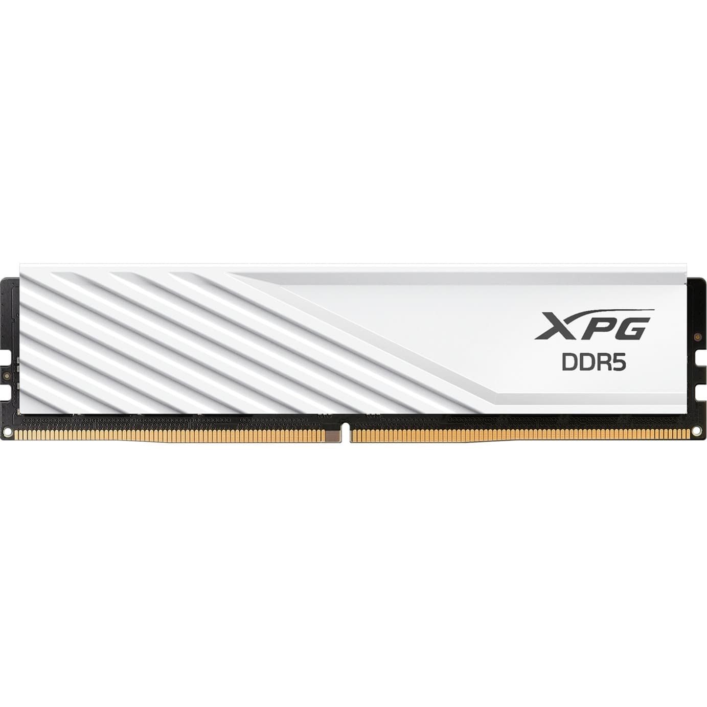 DIMM 16 GB DDR5-6000 (1x 16 GB), Arbeitsspeicher