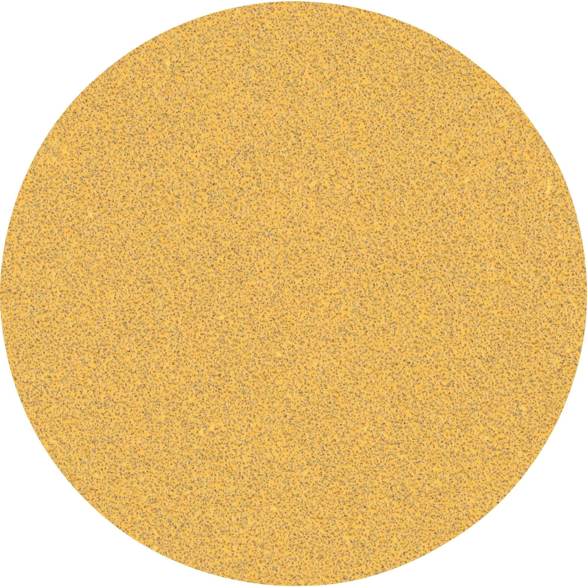 Expert C470 Schleifblatt, Ø 125mm, K60 ungelocht