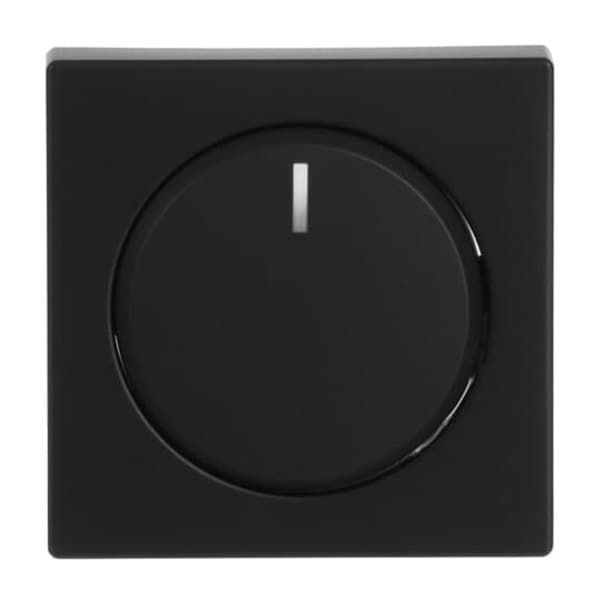 Zentralscheibe matt für Drehdimmer Typ 6540-885-102 mit transparentem Leuchtring, Abdeckung