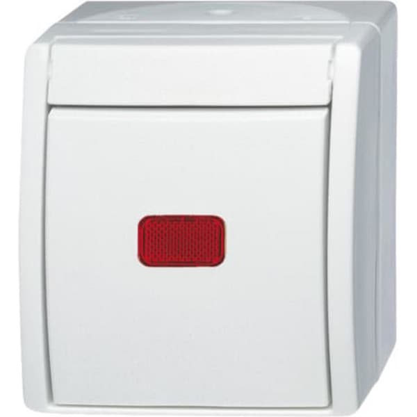 Kontroll-Wechselschalter 2601/6 SKW-54