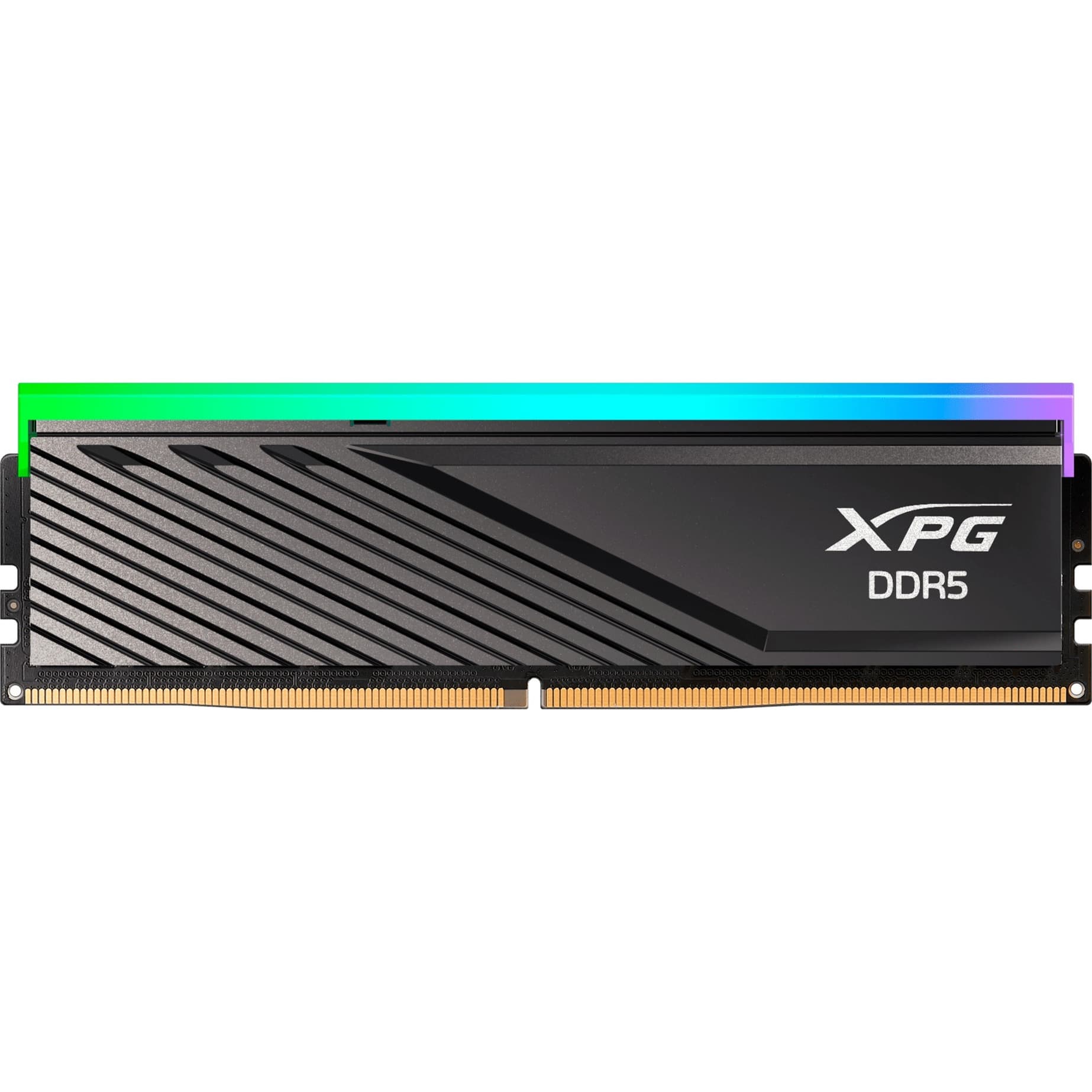 DIMM 16 GB DDR5-6000 (1x 16 GB), Arbeitsspeicher