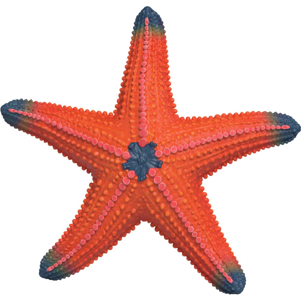 Wild Life Seestern mit Farbwechsel, Spielfigur