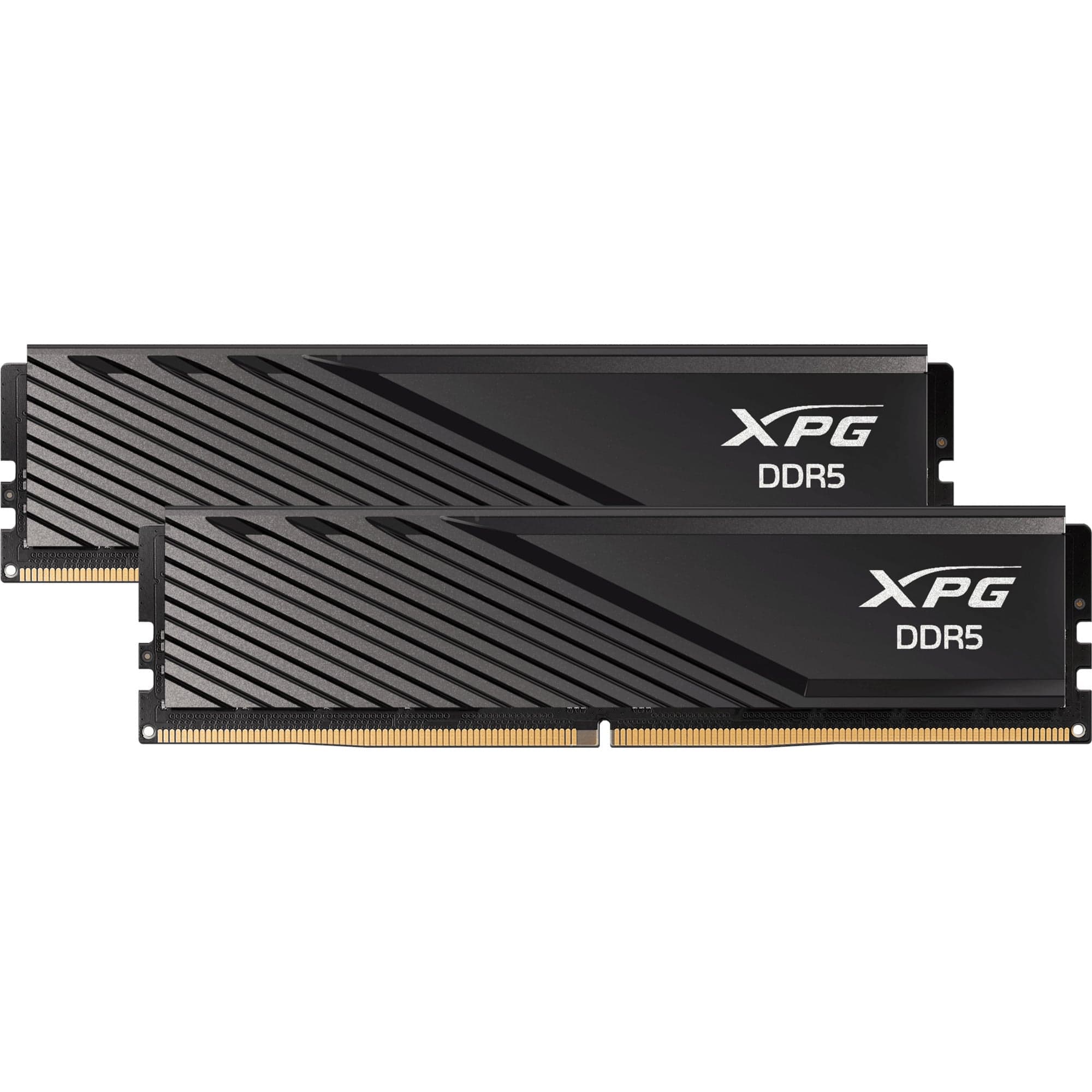 DIMM 32 GB DDR5-5600 (2x 16 GB) Dual-Kit, Arbeitsspeicher