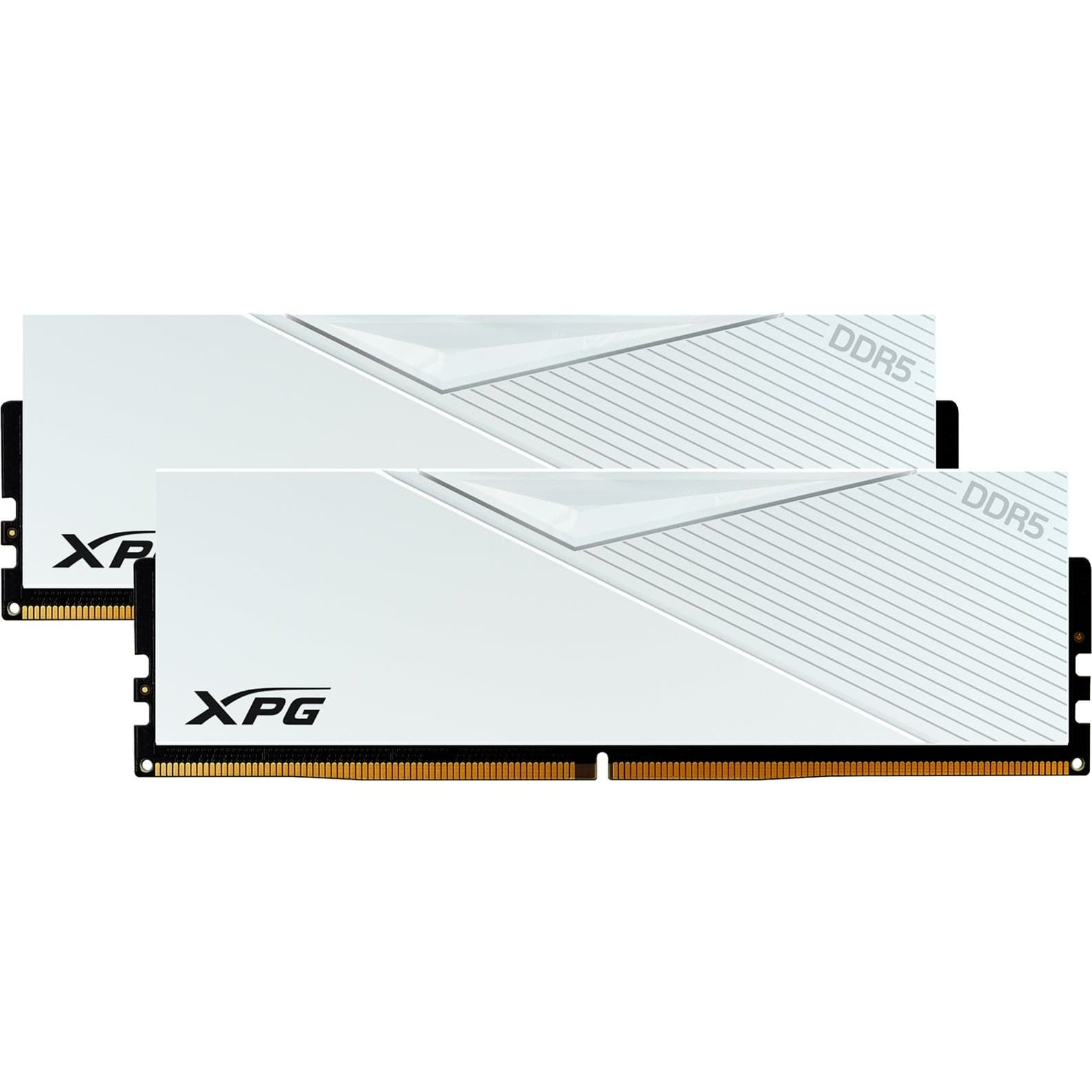 DIMM 32 GB DDR5-6400 (2x 16 GB) Dual-Kit, Arbeitsspeicher