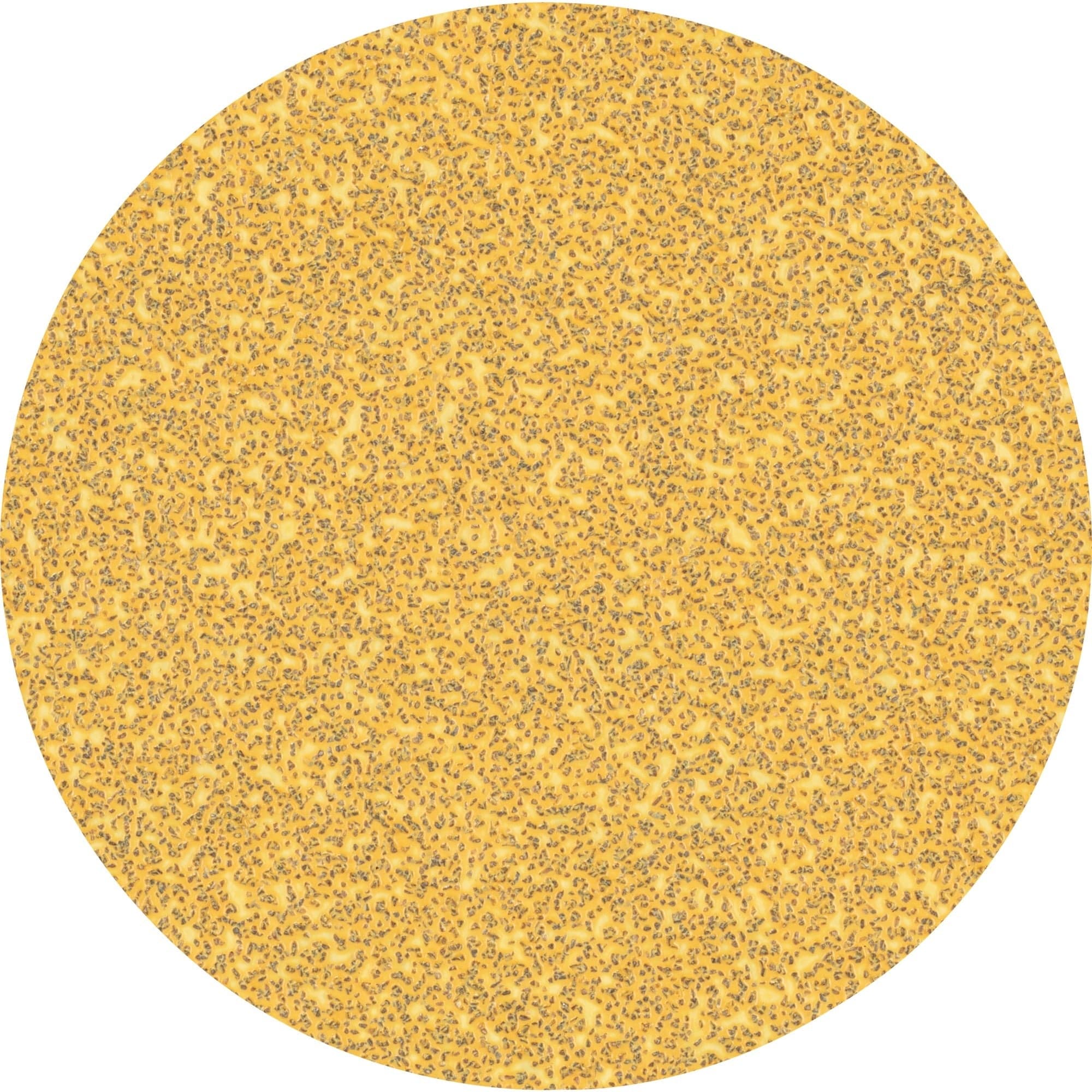 Expert C470 Schleifblatt, Ø 125mm, K40 ungelocht