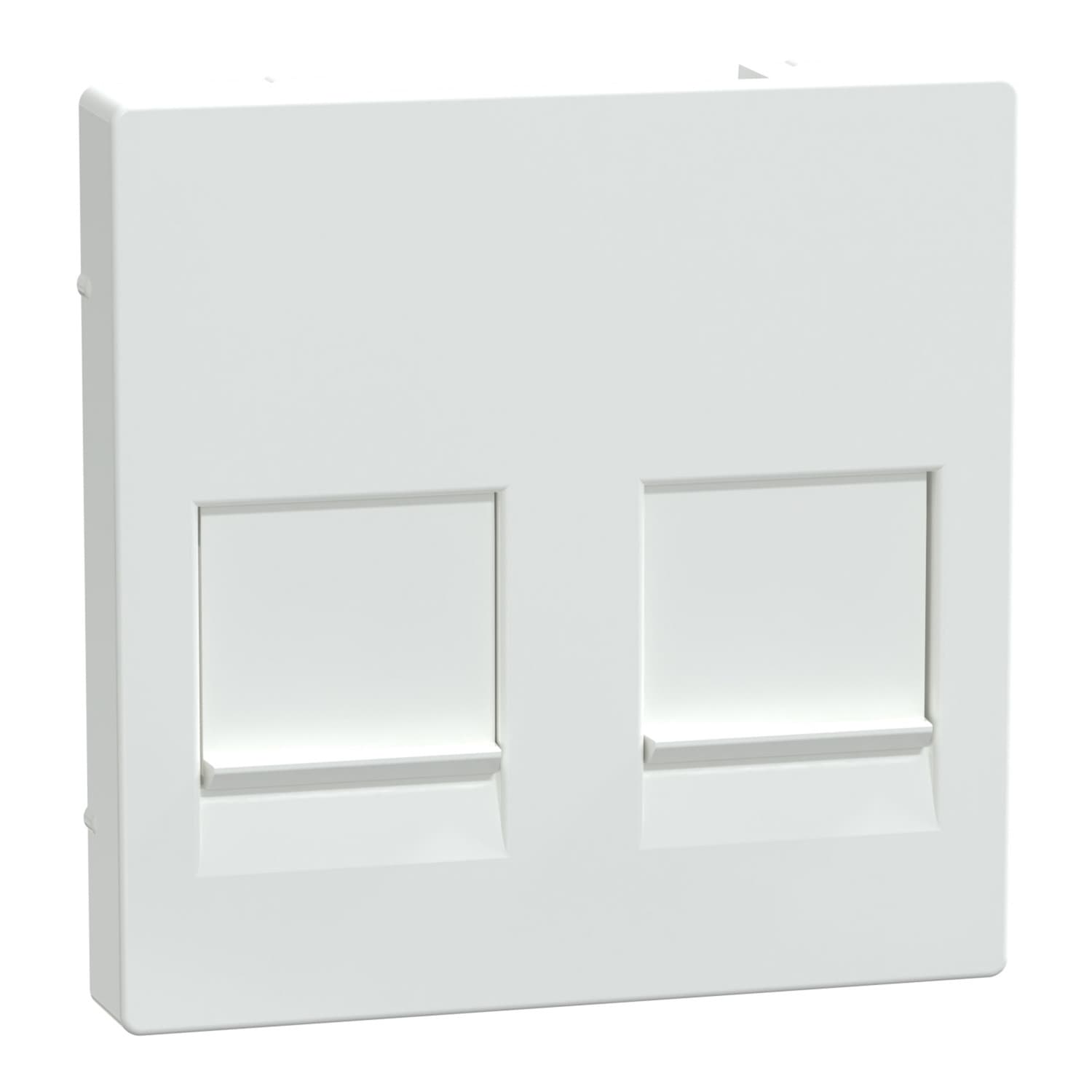 Zentralplatte zweifach Anschluss für Modular-Jack