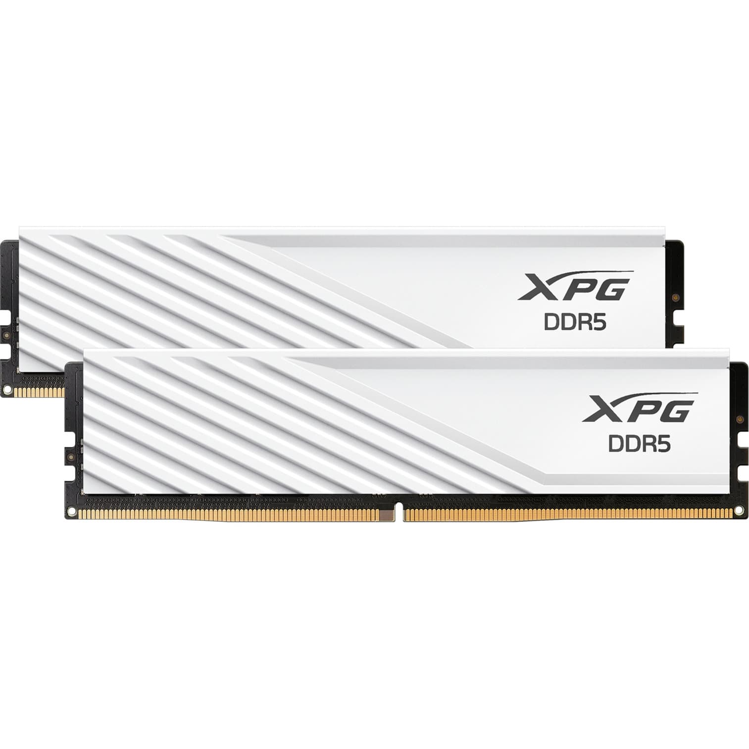 DIMM 32 GB DDR5-6000 (2x 16 GB) Dual-Kit, Arbeitsspeicher
