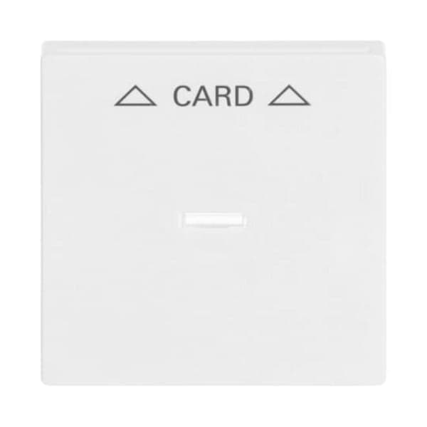 Zentralscheibe für Cardschalter 1792-84