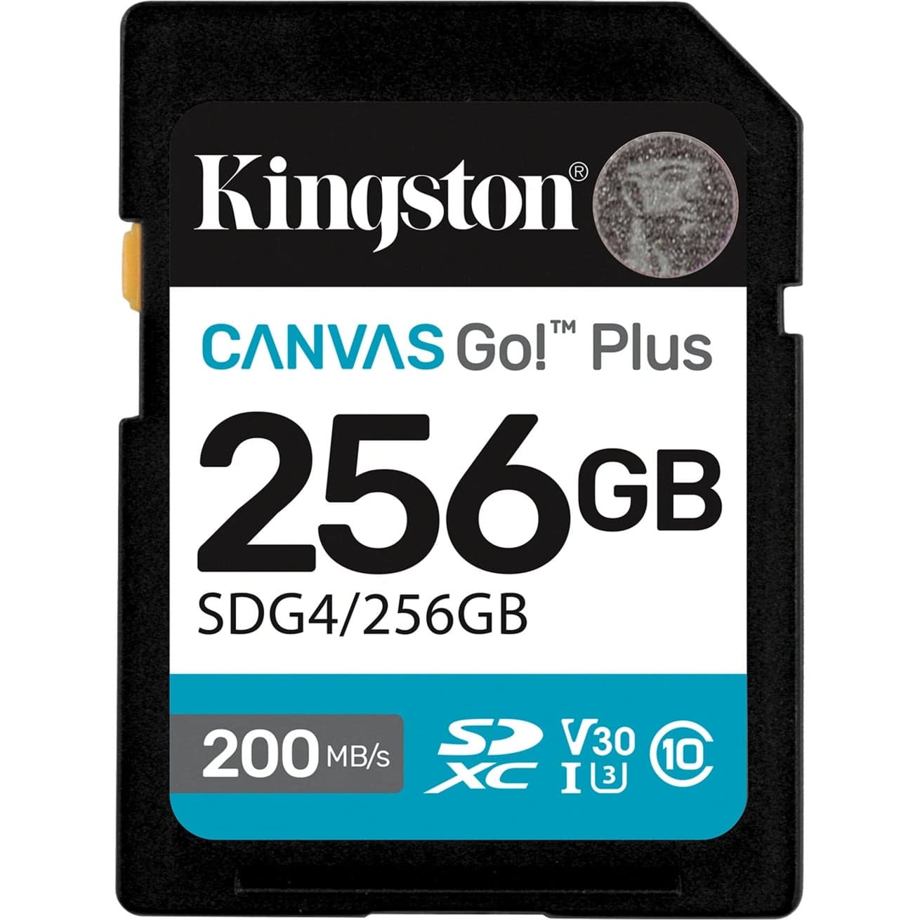 Canvas Go! Plus 256GB SDXC, Speicherkarte