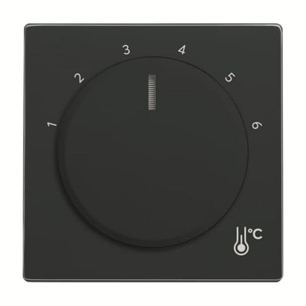 Zentralscheibe Temperatur rund 1794 R-81, Thermostat