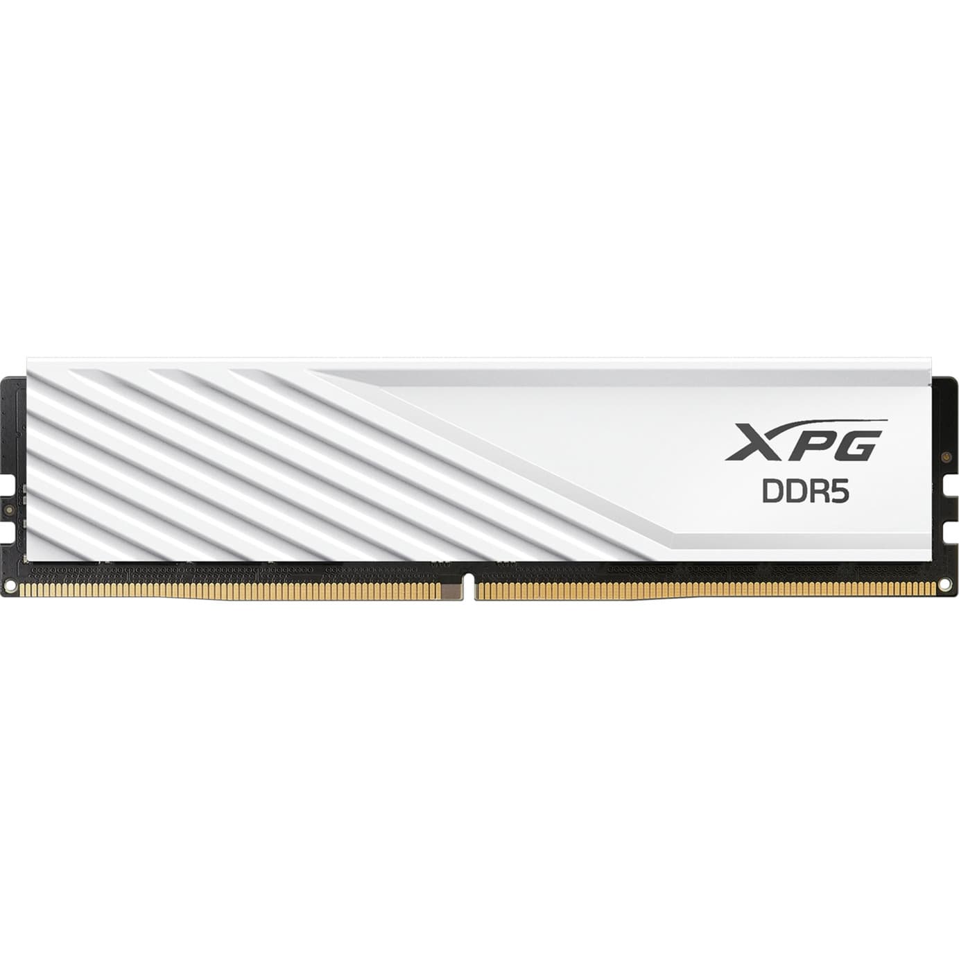 DIMM 16 GB DDR5-6000, Arbeitsspeicher