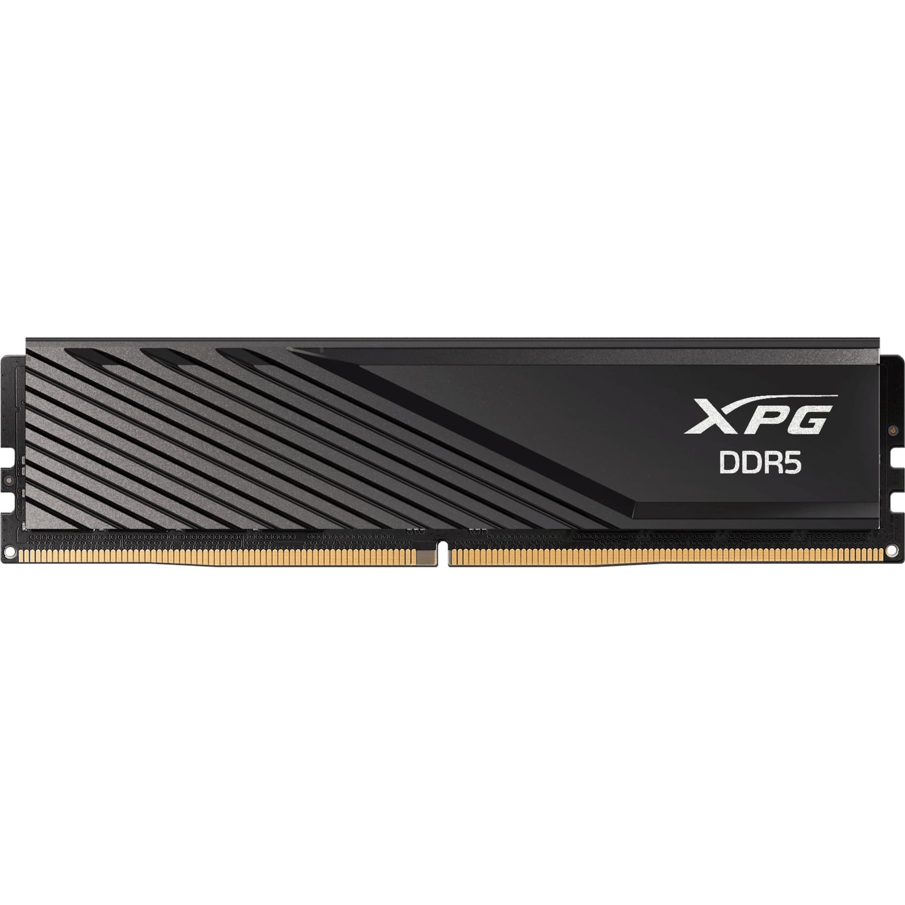 DIMM 8 GB DDR5-5600 (1x 8 GB), Arbeitsspeicher