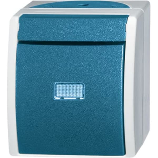 Wechselschalter 2601/6 Wippe mit Komplettgehäuse Aufputz