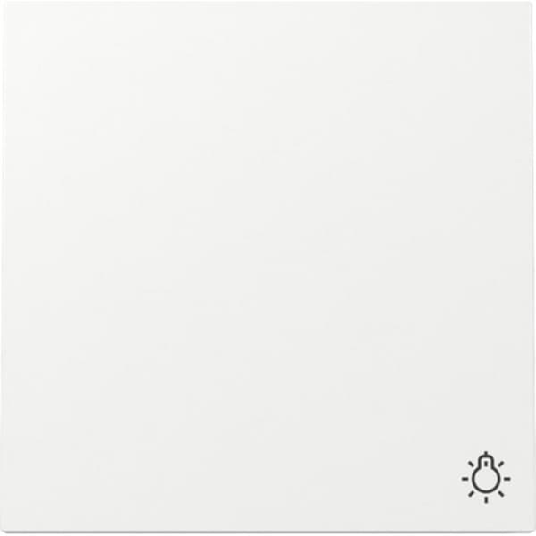 GIRA Wippe Symb. Licht Schalter Reinweiá 328570