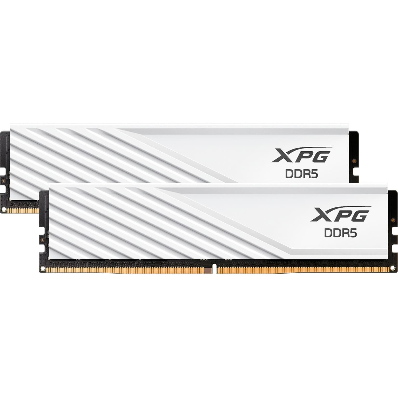 DIMM 32 GB DDR5-6000 (2x 16 GB) Dual-Kit, Arbeitsspeicher