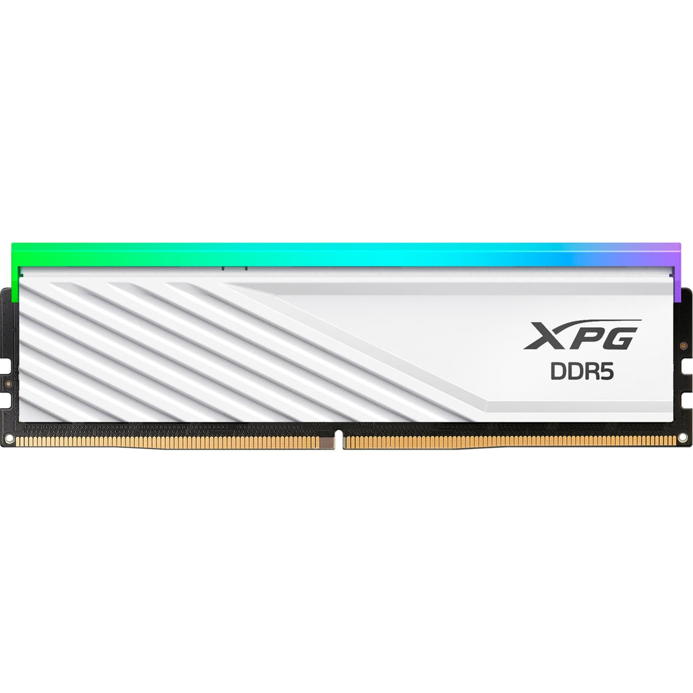 DIMM 16 GB DDR5-6000 (1x 16 GB), Arbeitsspeicher