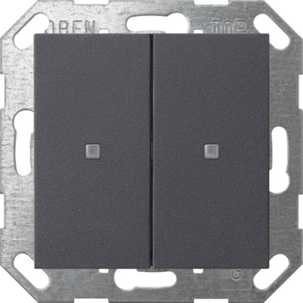 Taster mit Wippe zweifach für Gira One und KNX System 55