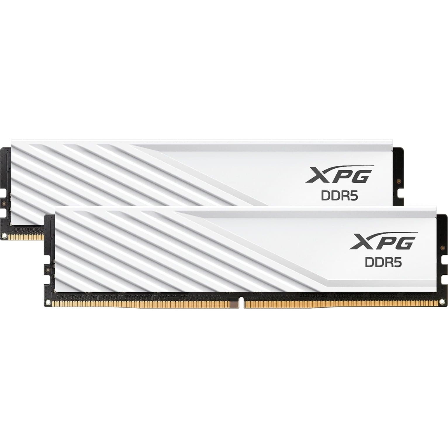 DIMM 32 GB DDR5-5600 (2x 16 GB) Dual-Kit, Arbeitsspeicher