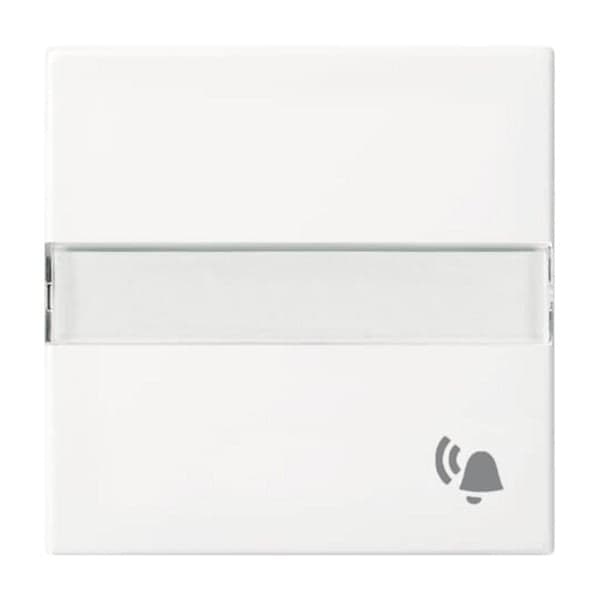 Wippe aws Busch-balance SI 2506 N/KI-914