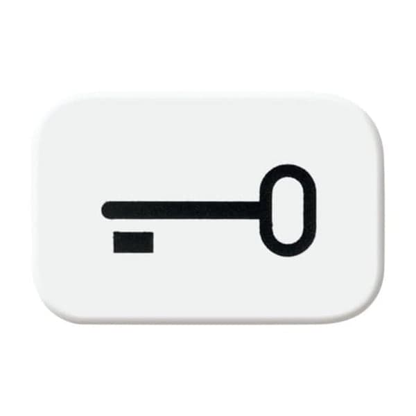 Tastersymbol ausschaltwippe 2525 TR-214, Schlüssel