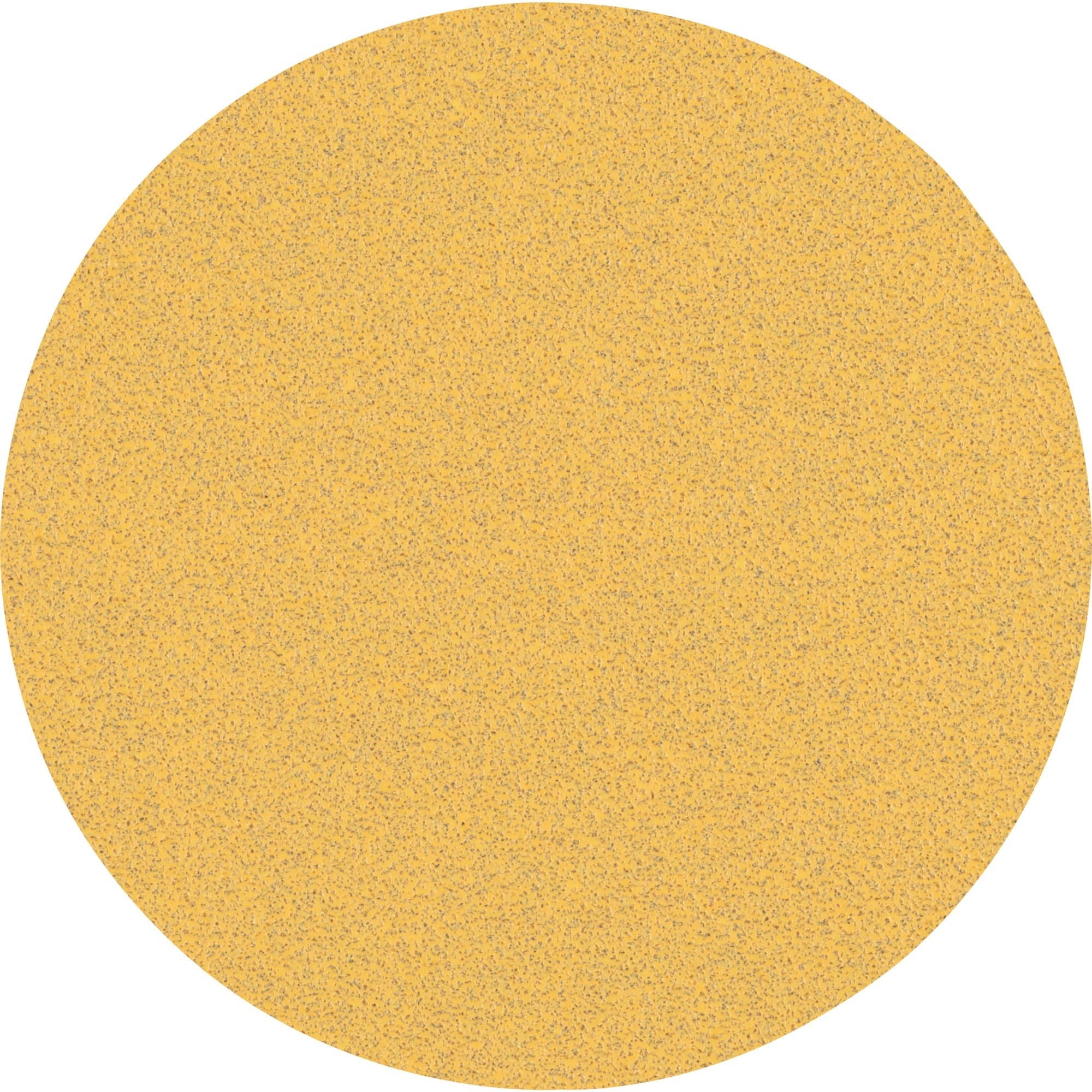 Expert C470 Schleifblatt, Ø 125mm, K80 ungelocht