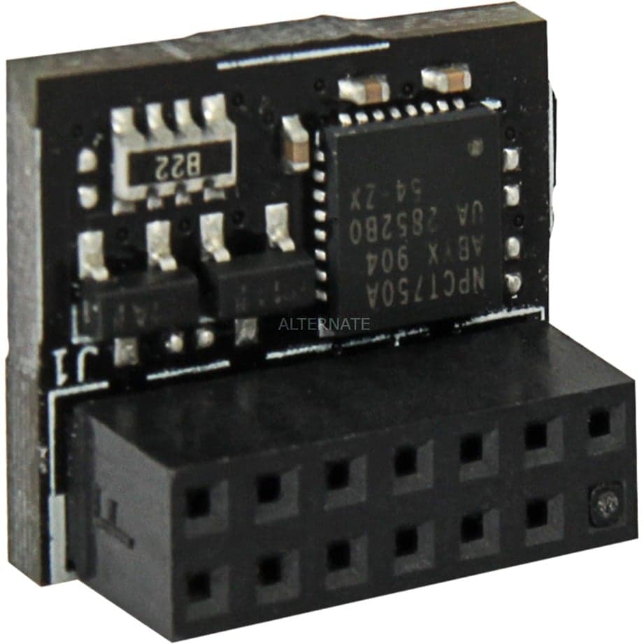 TPM-SPI