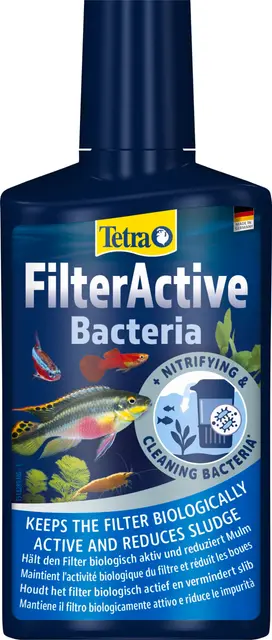 tetra filteractive bacteria