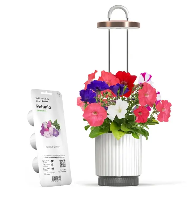 Click & Grow Mini Smart Garden Hydrovase, Kit mit Petunia Kapseln (Weiß) | Mini Smart Planter. Indoor Garten Automatisch. Selbstbewässernder Topf mit Pflanzenlampe. Kompatibel mit Click&Grow Kapseln