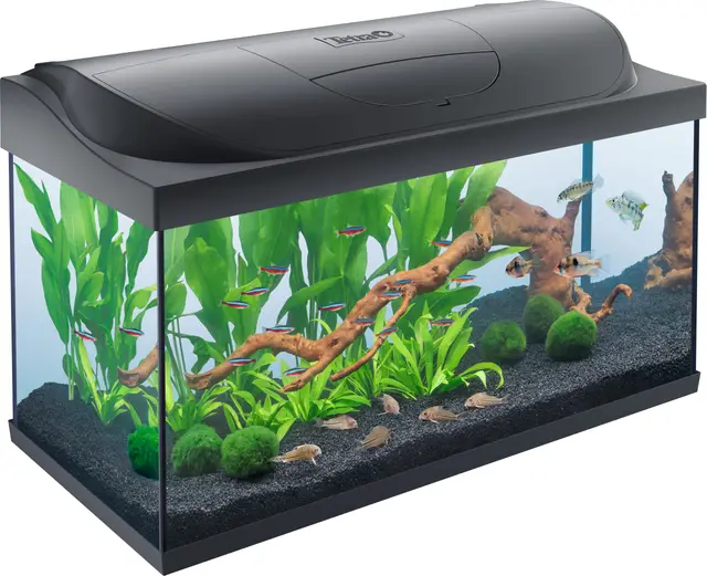 Tetra Starter Line 105 L Aquarium Set