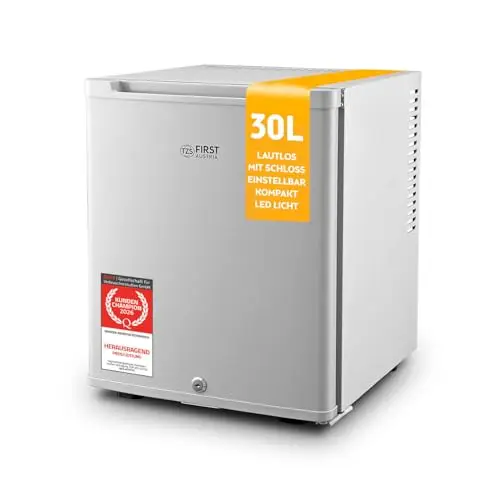 TZS First Austria - Mini Kühlschrank 30L komplett lautlos - Kleiner Minikühlschrank, wechselbarer Türanschlag & Innenbeleuchtung - Minibar für Camping, Büro, Schlafzimmer & Hotel - Grau