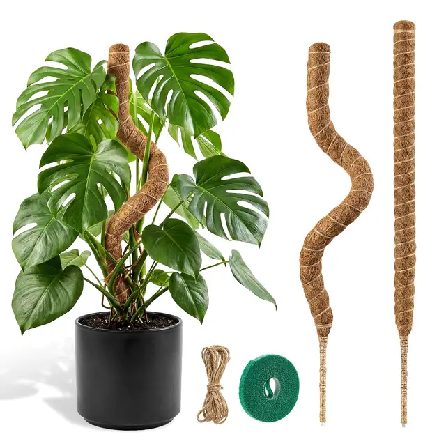 garden sage 2er moosstab monstera 60cm