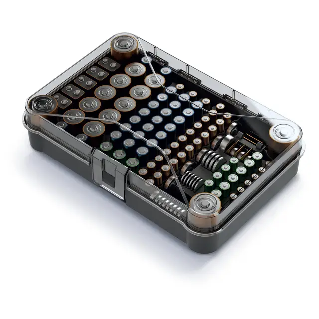 Batteriebox Sortierbox Aufbewahrungsbox für 115 Batterien Organizer Transparent Kunststoff ohne Batterien 295 mm x 195 mm x 70 mm