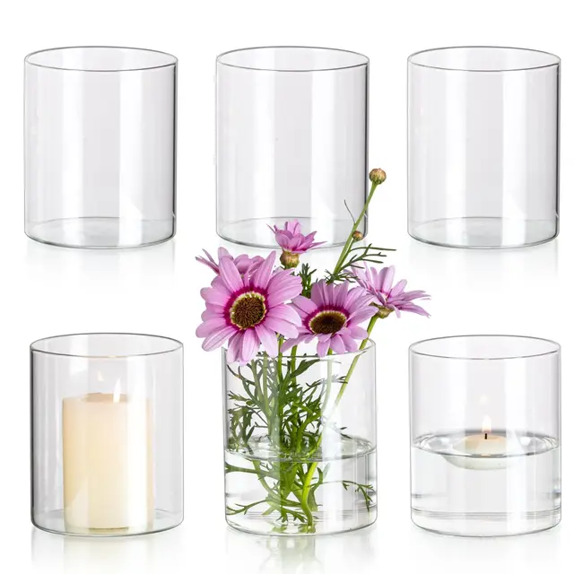 glasseam glaszylinder vase 6er set 10