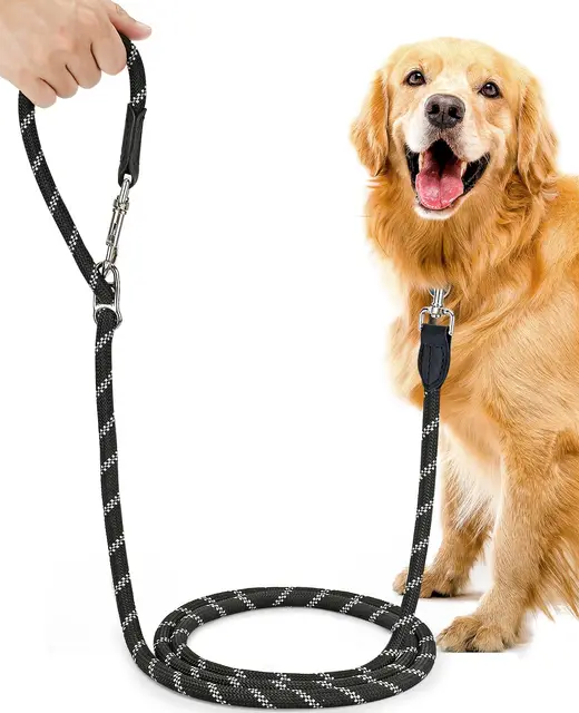 oneisall 3m nylon hundeleine